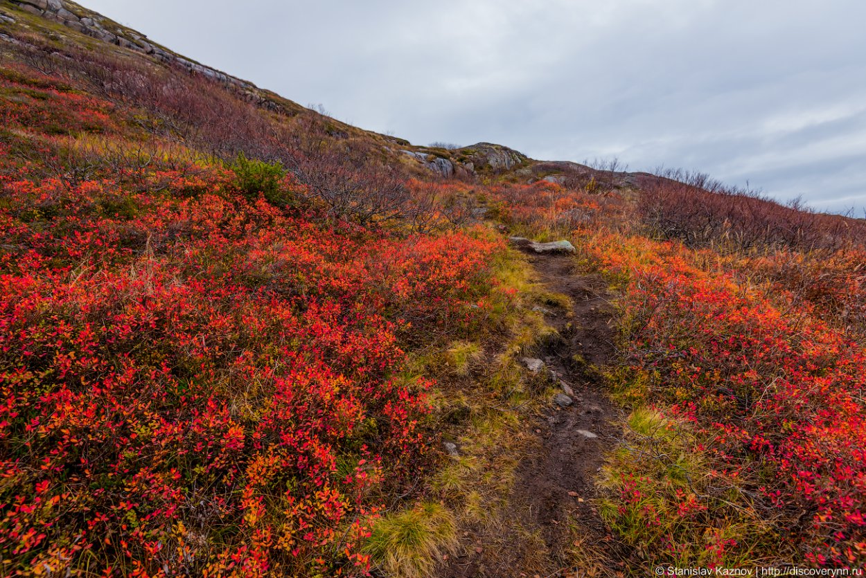 Сопки Кольского полуострова