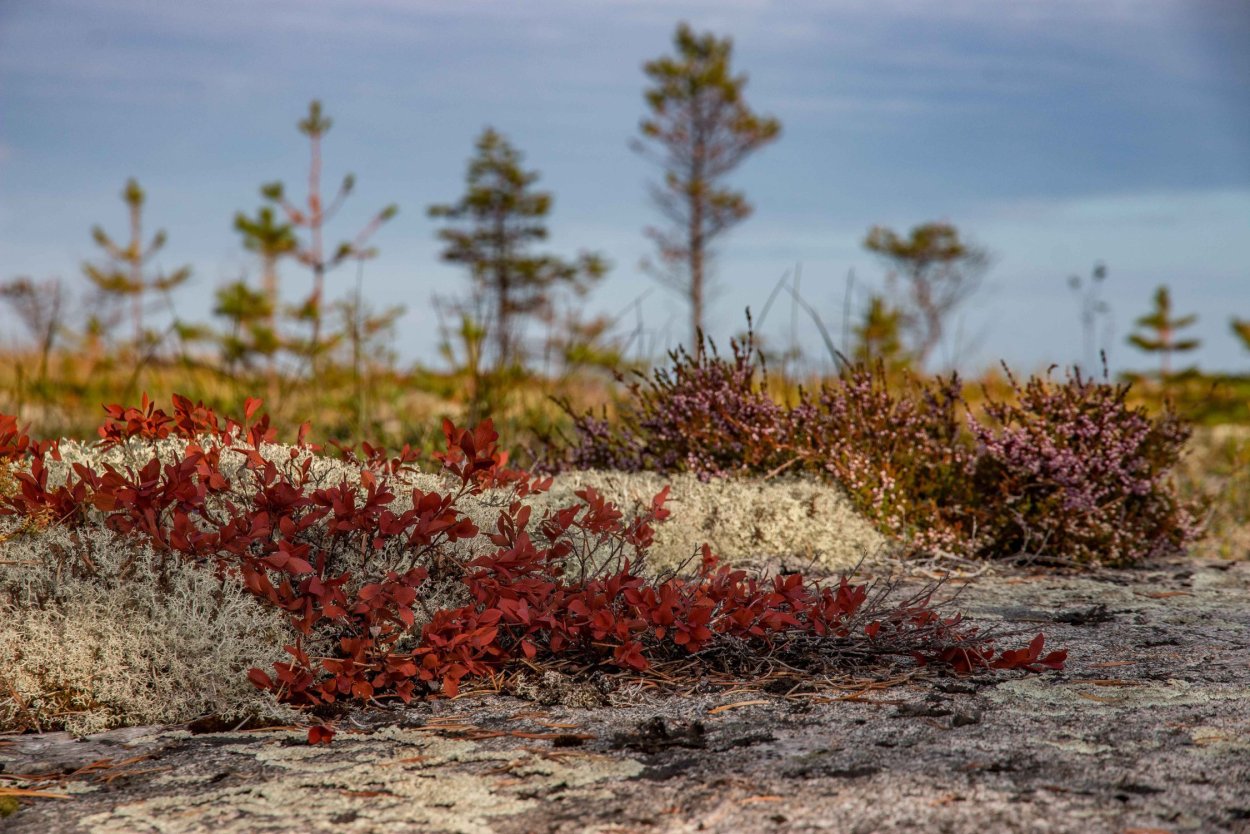 Островной Кольский полуостров