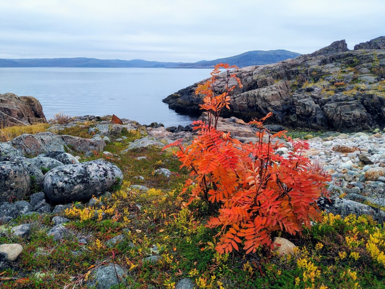 Баренцево море Кольский полуостров