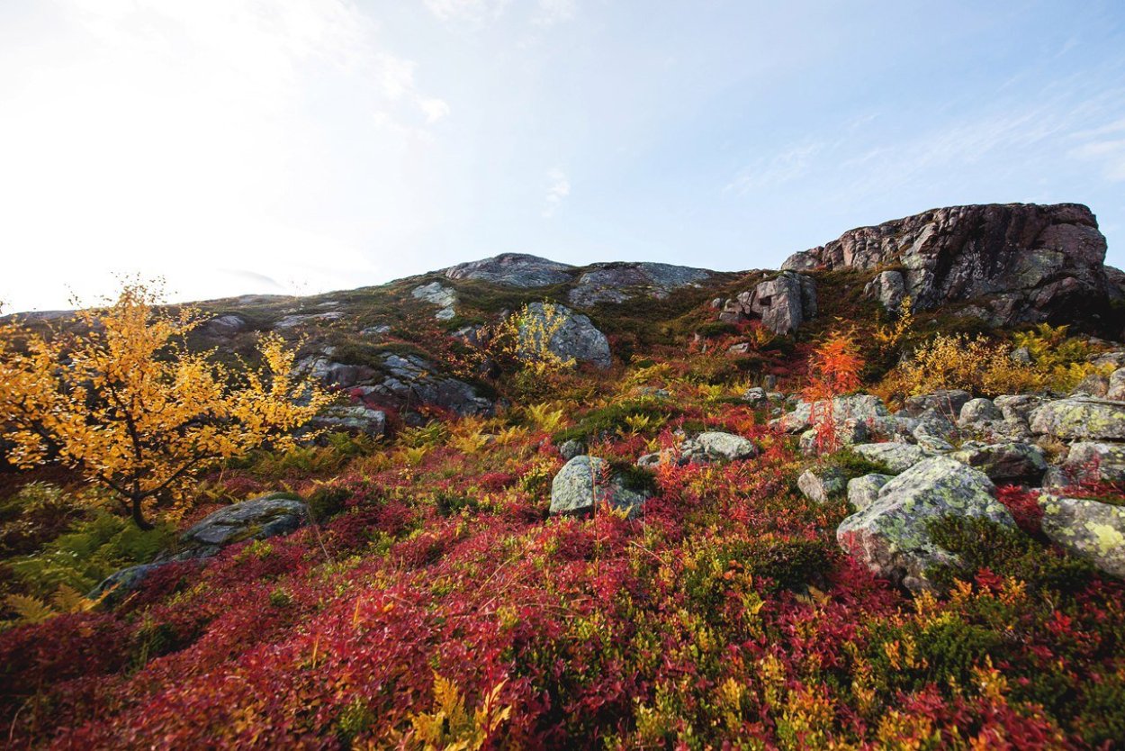 Териберка ландшафт