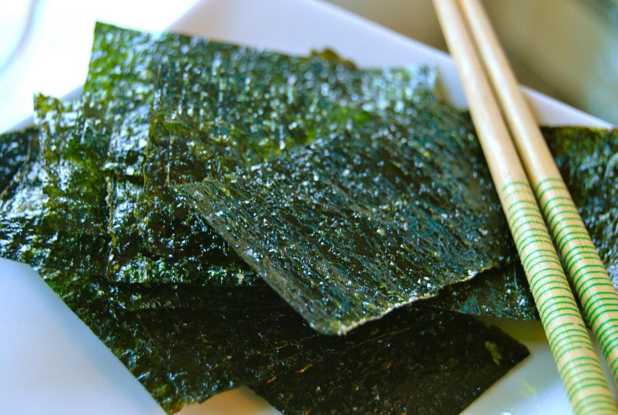 Морские водоросли суши нори