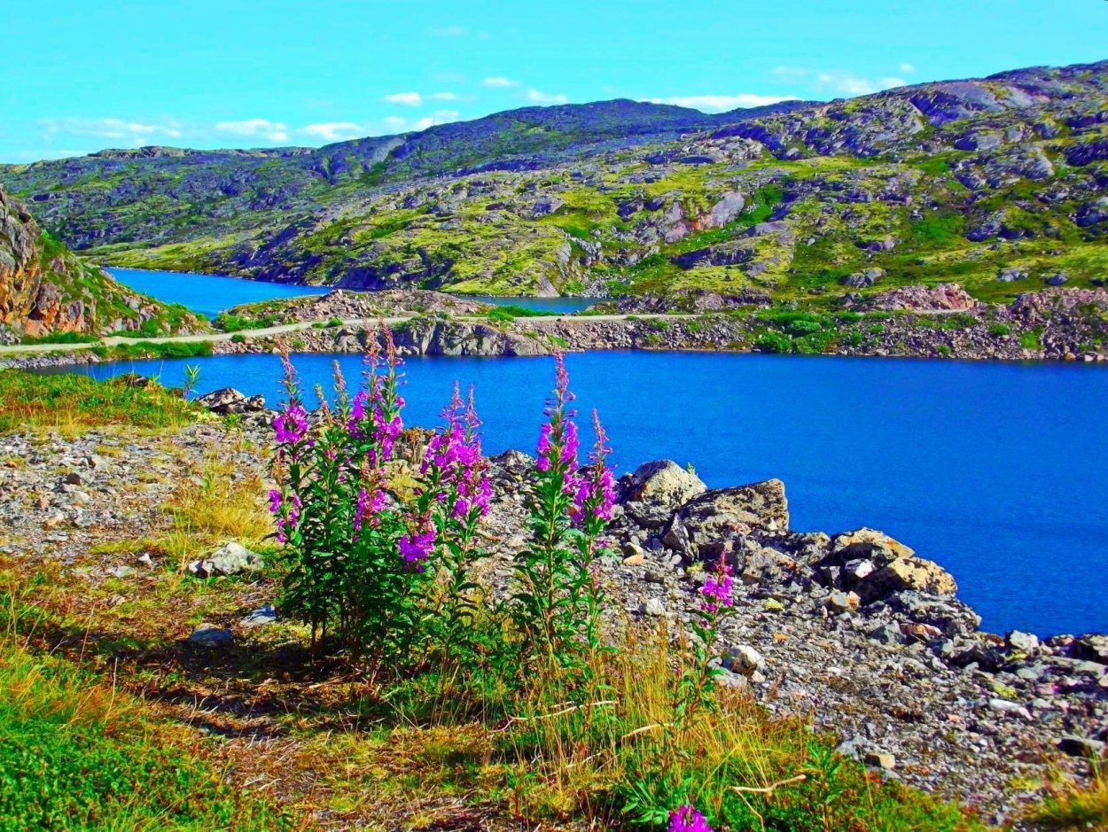 Мурманский Тундровый заказник