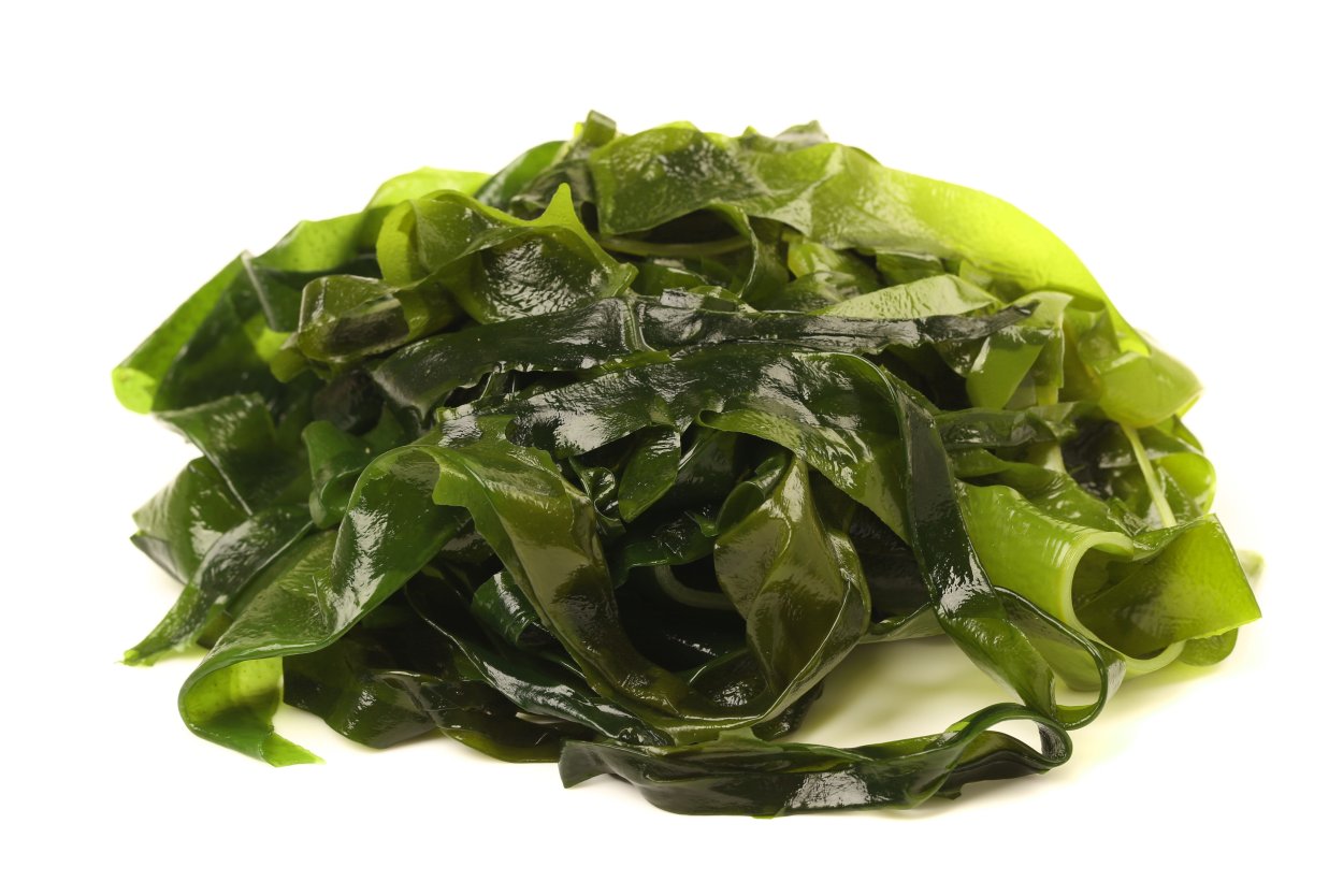 Шкурка из морских водорослей