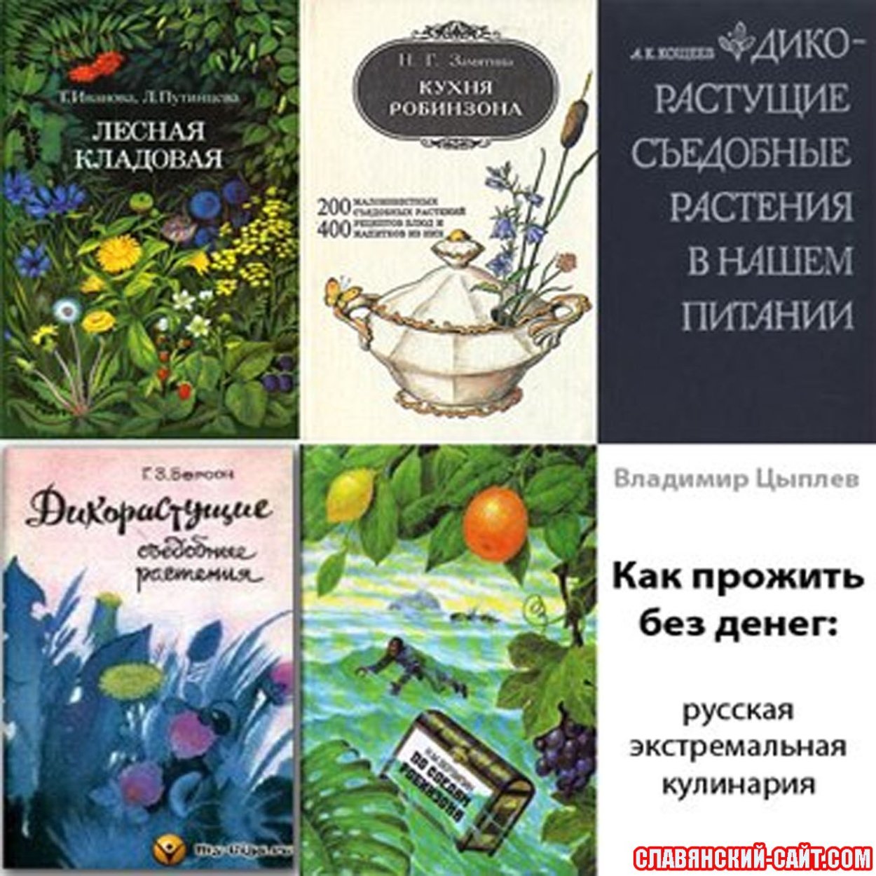 Книга кухня робинзона