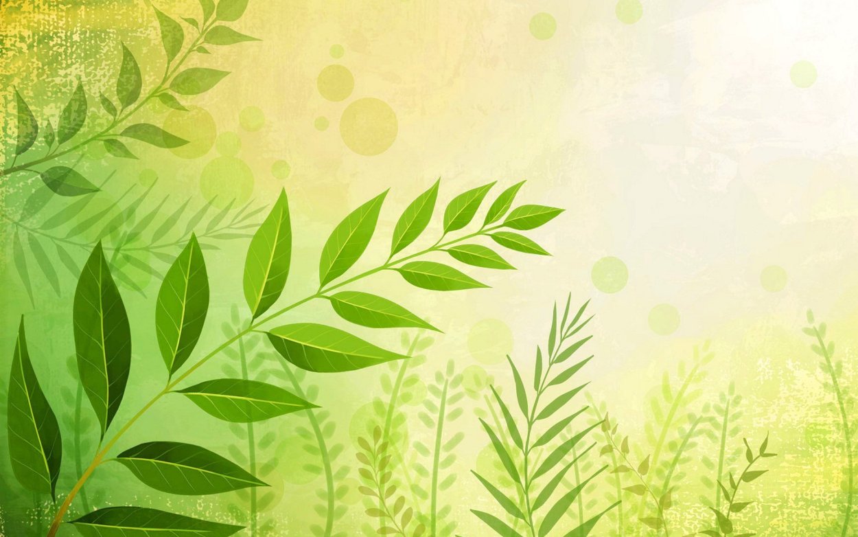 Мандрагора Гарри Поттер