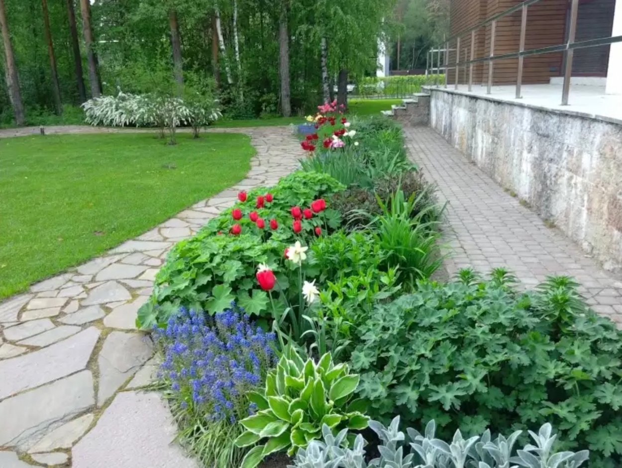 Рабатка вдоль дорожки