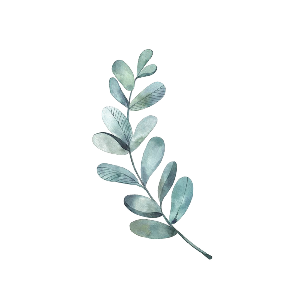 Листья Минимализм