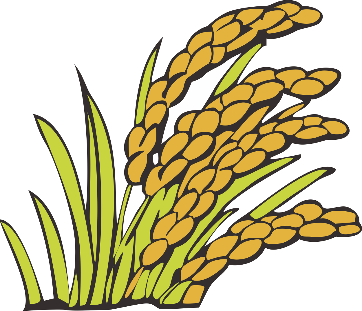 Белый рис басмати