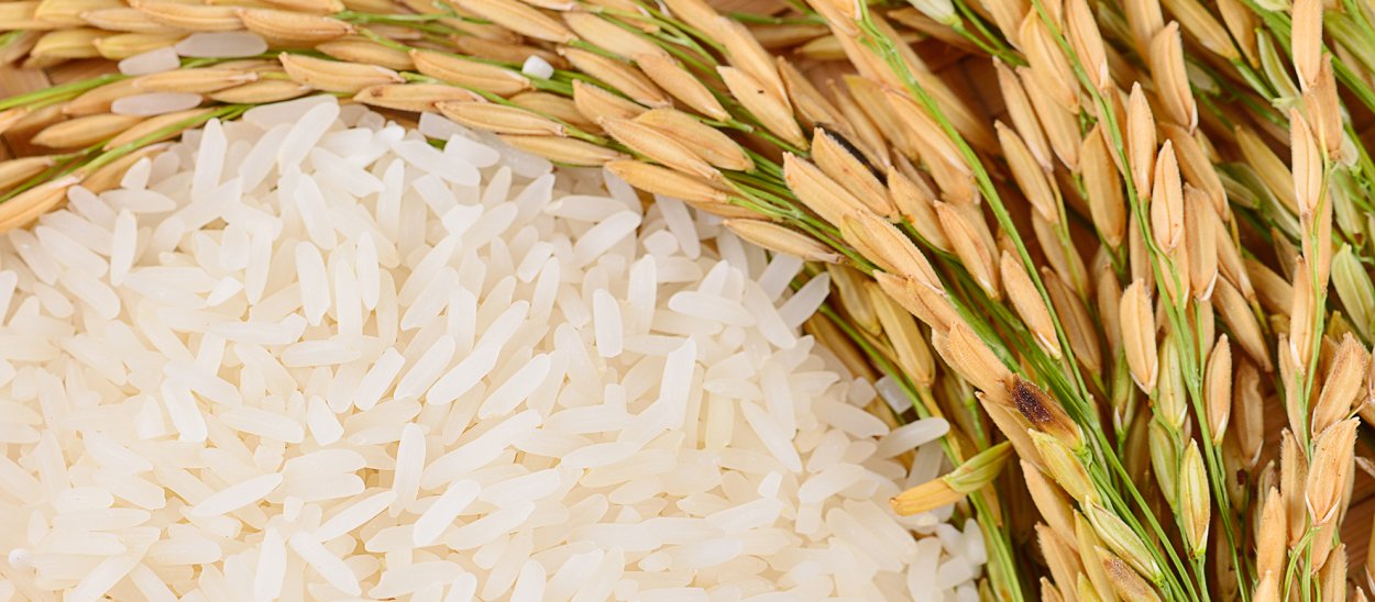 Катрина гербарий