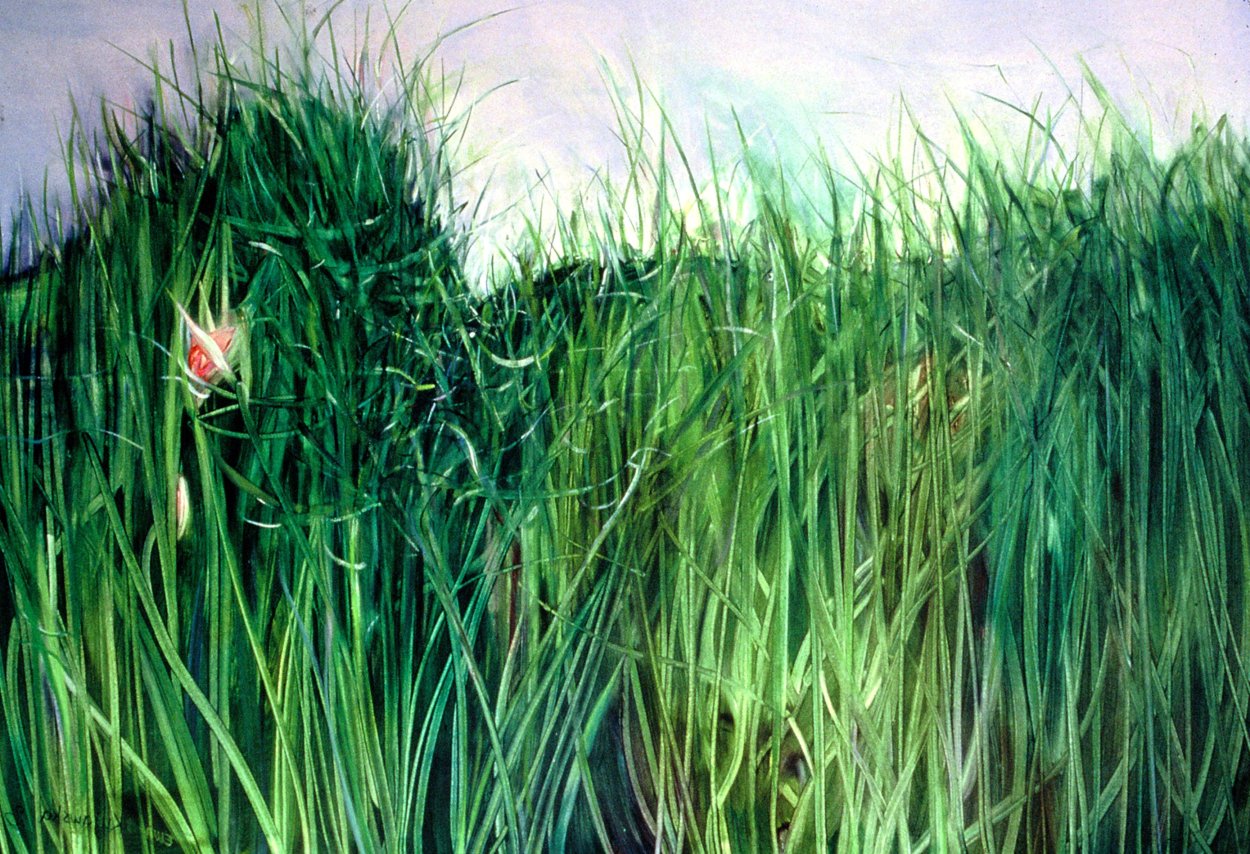 Растение Агро