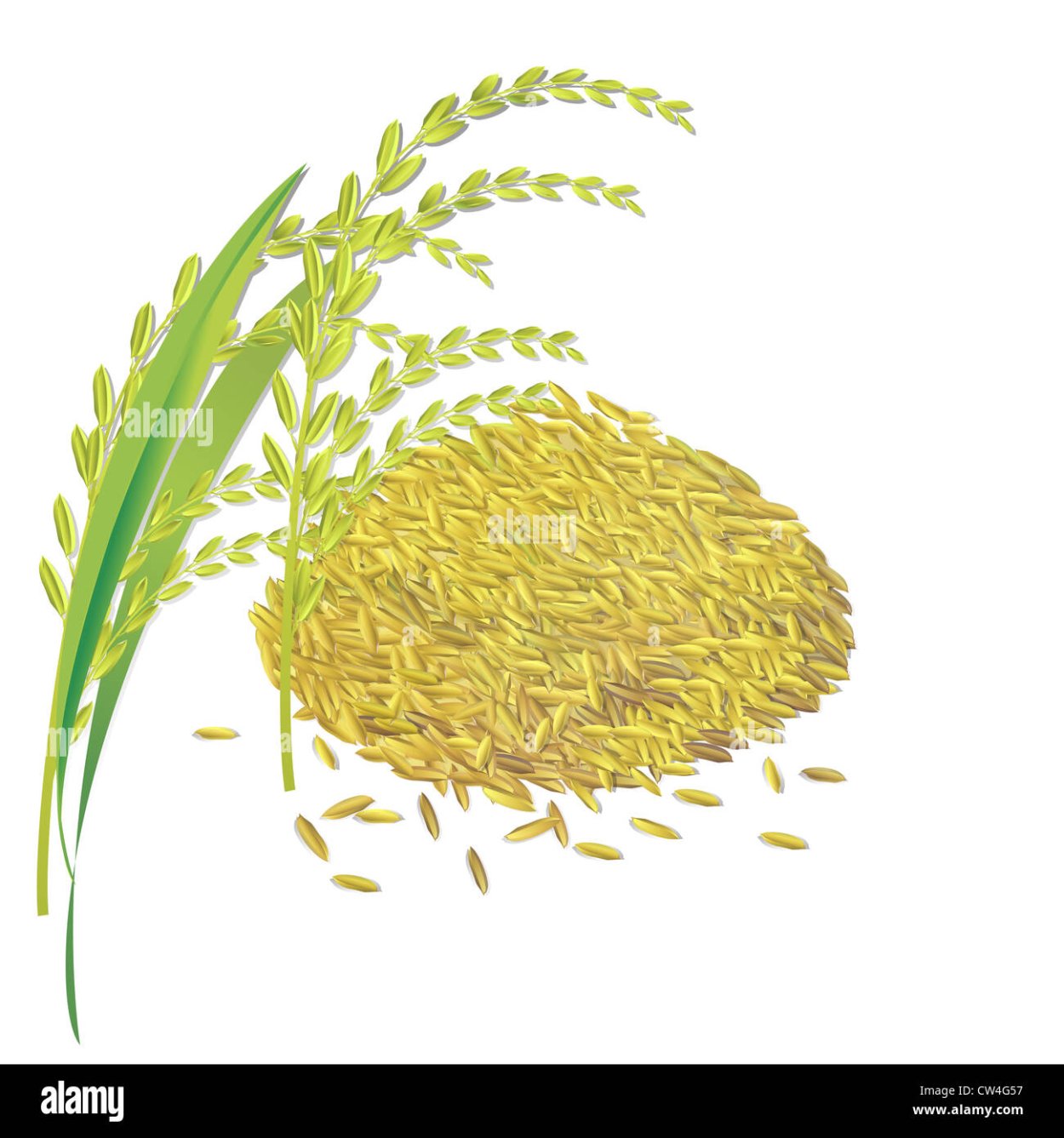 Япония зерновые рис