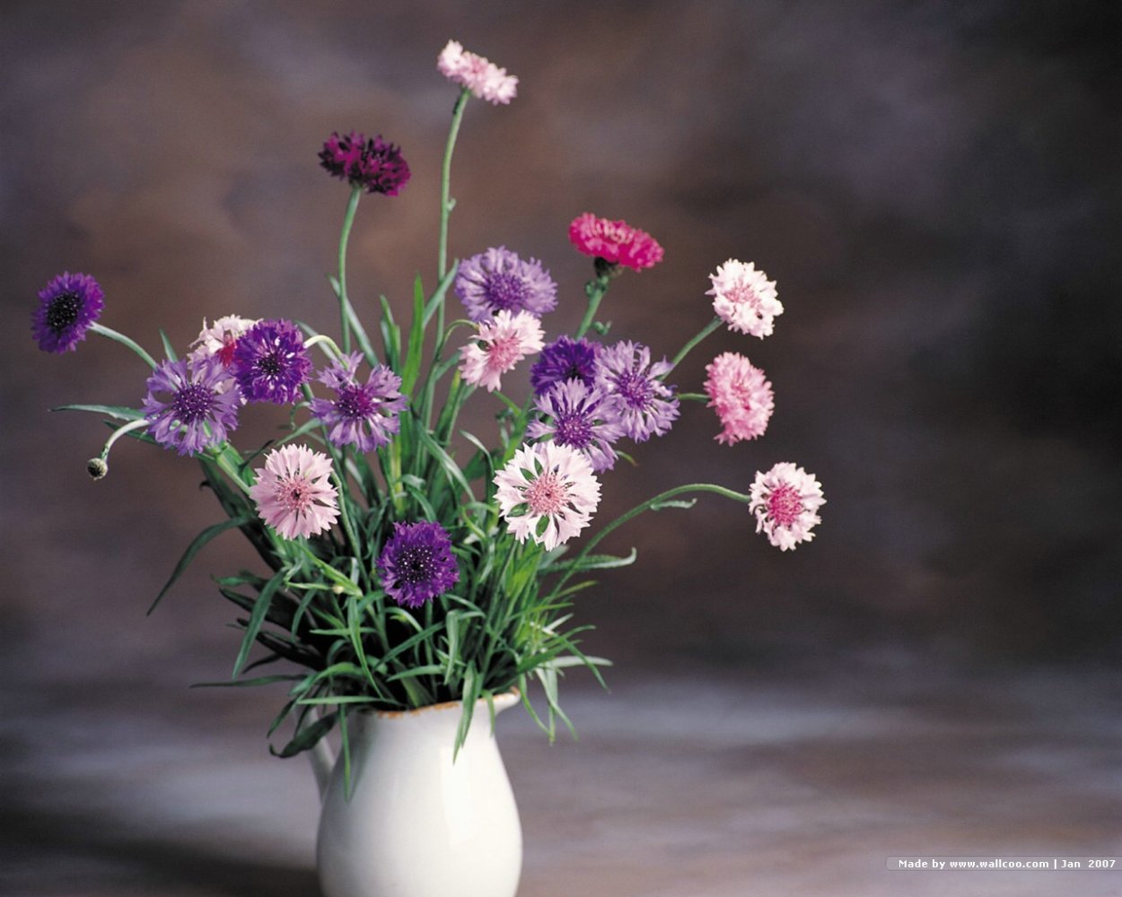 Hans Emmenegger букет Васильков