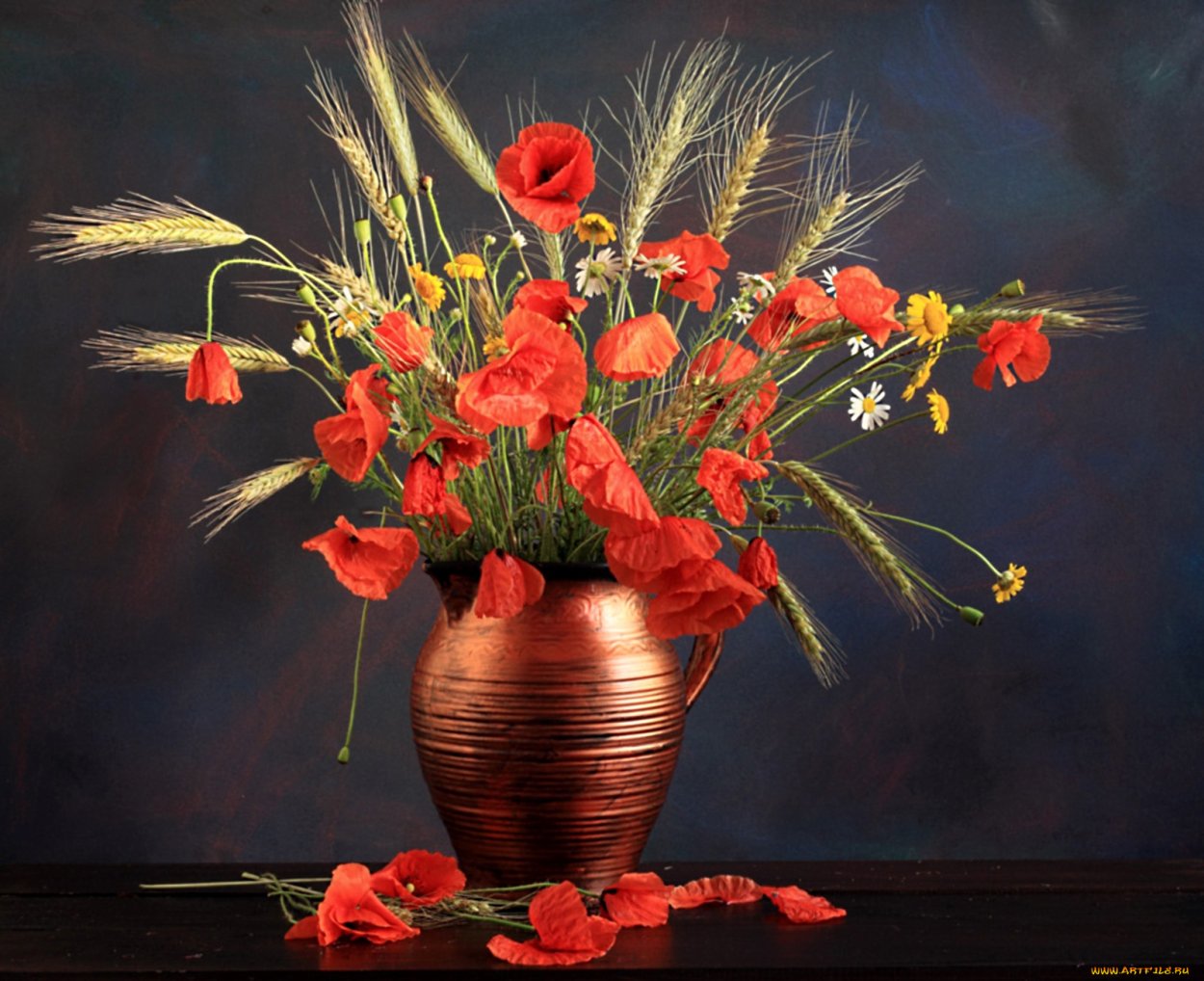 Художница Наталья Шайкина