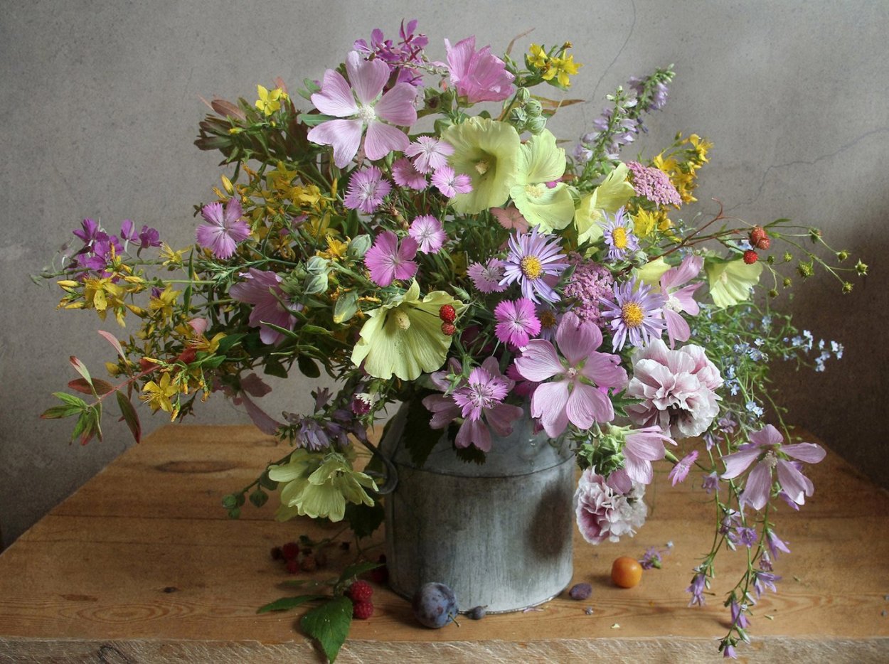 Полевые цветы