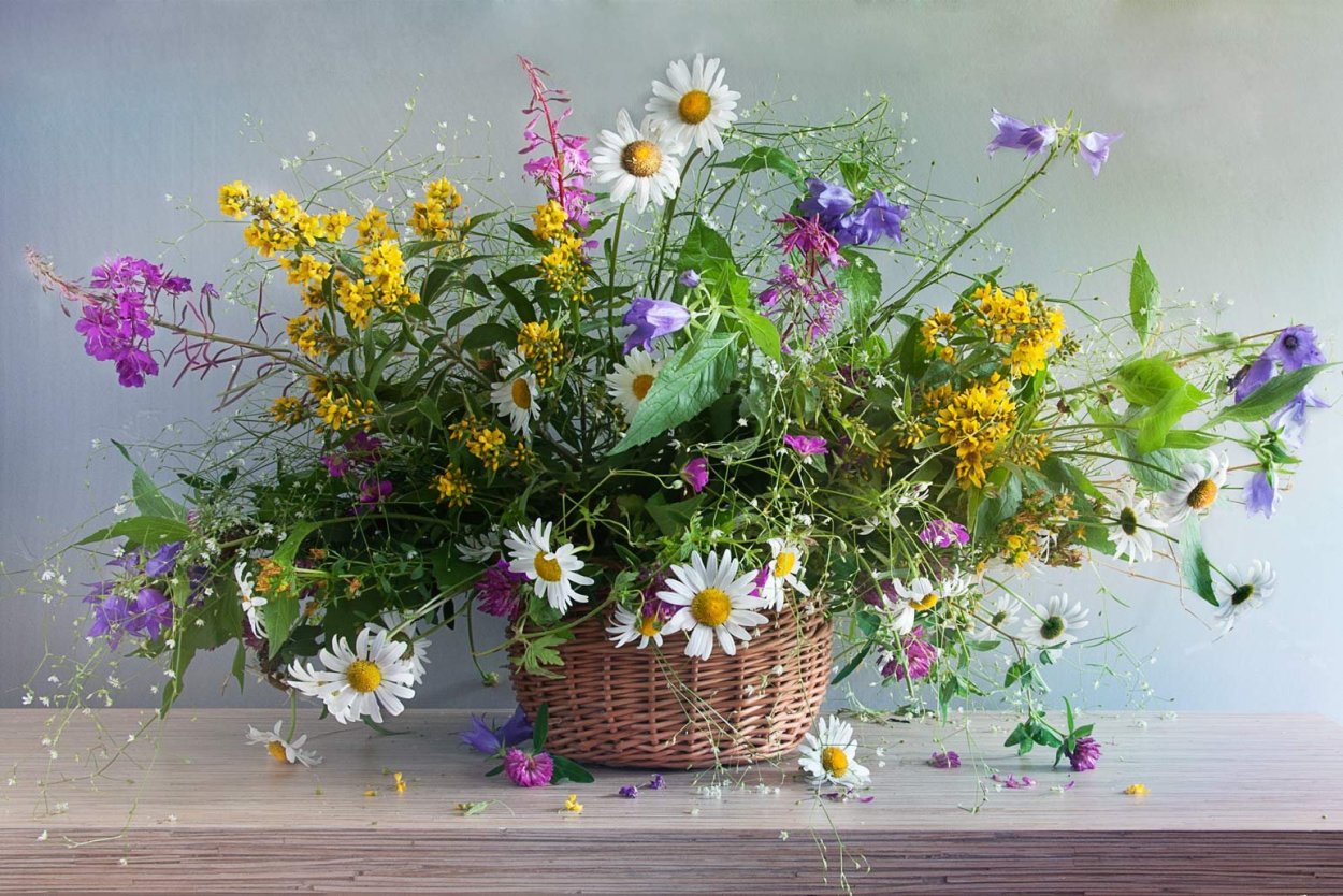 Цветочные натюрморты Натальи Панга