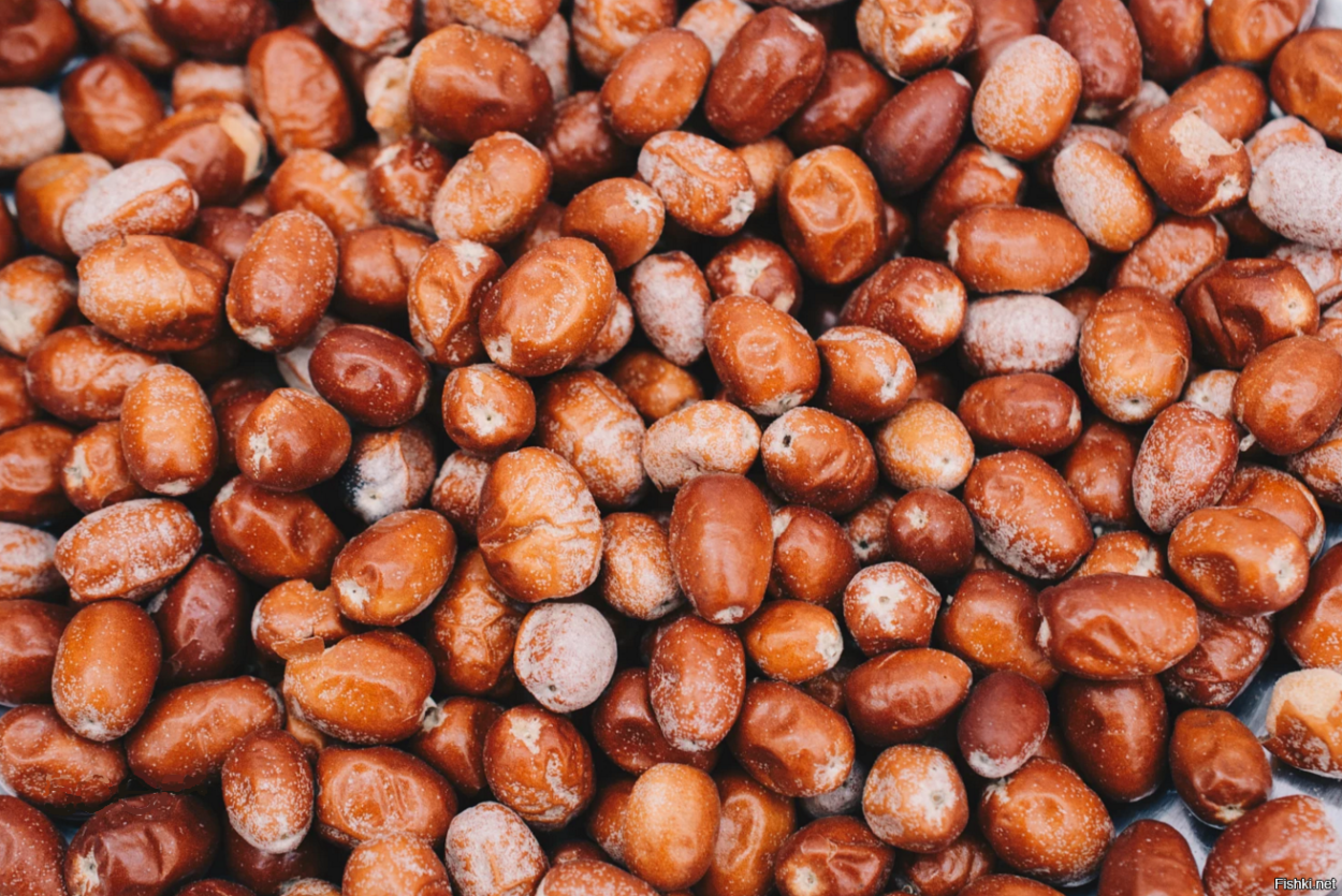 Лох узколистный Ангустифолия