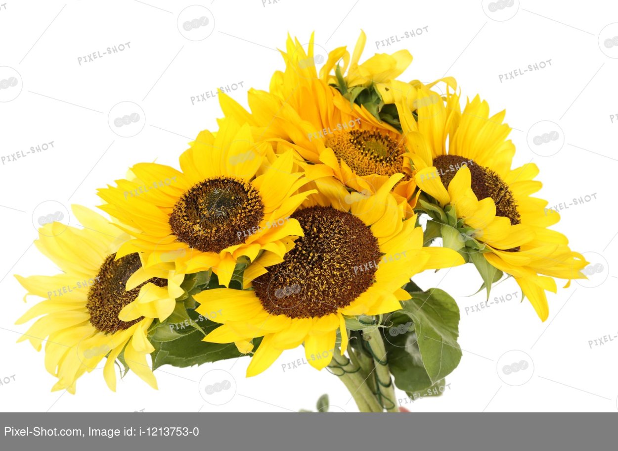 Букет подсолнухов