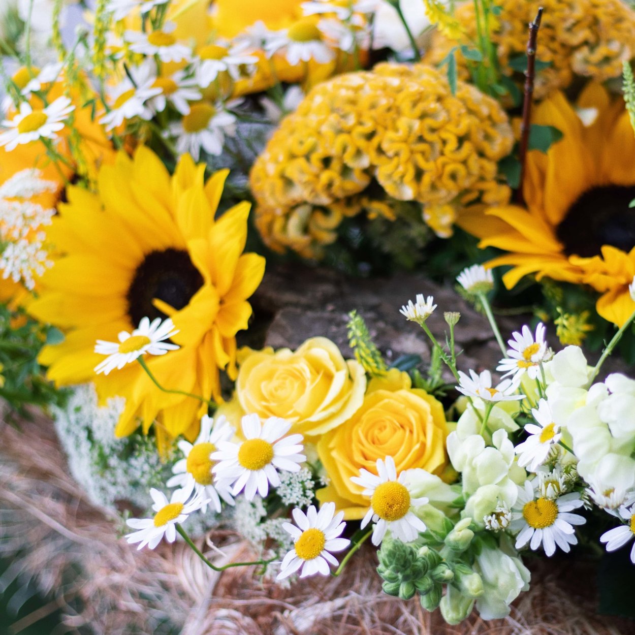 Подсолнухи и ромашки