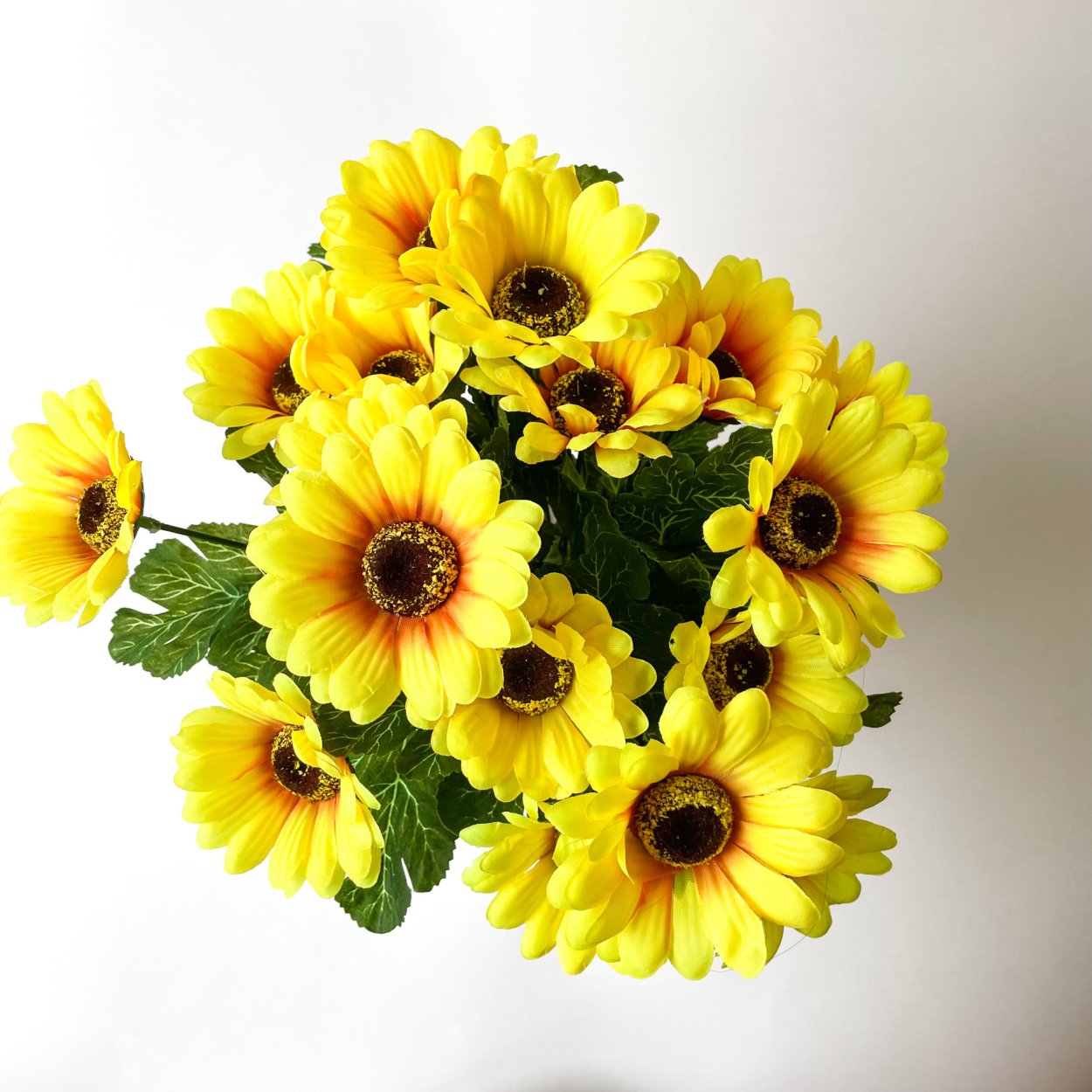 Хризантема Сантини подсолнух