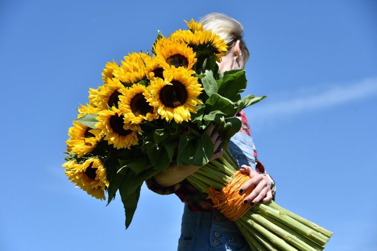 Букет с подсолнухами и лавандой