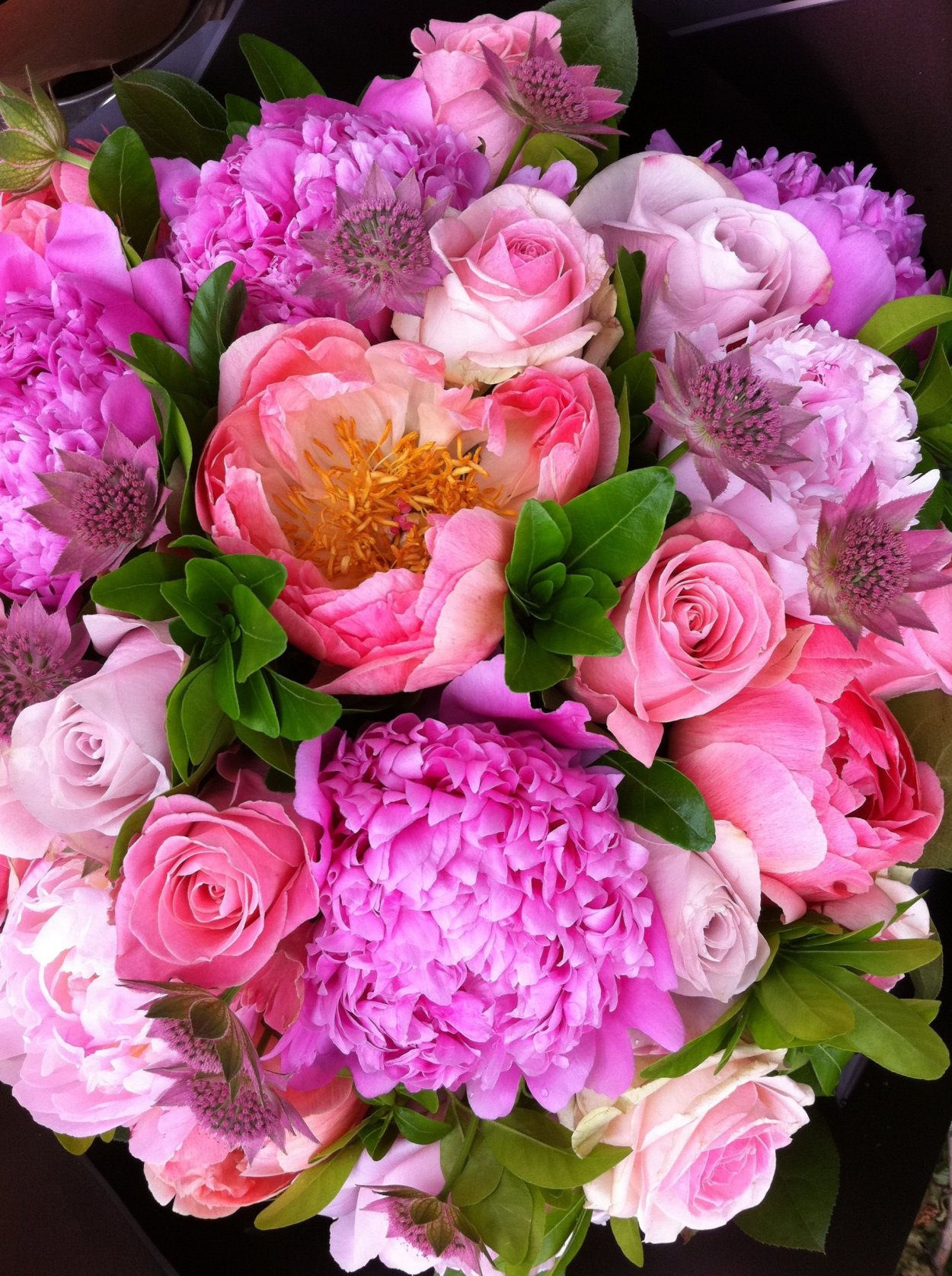 Пионы бомбовидные букет