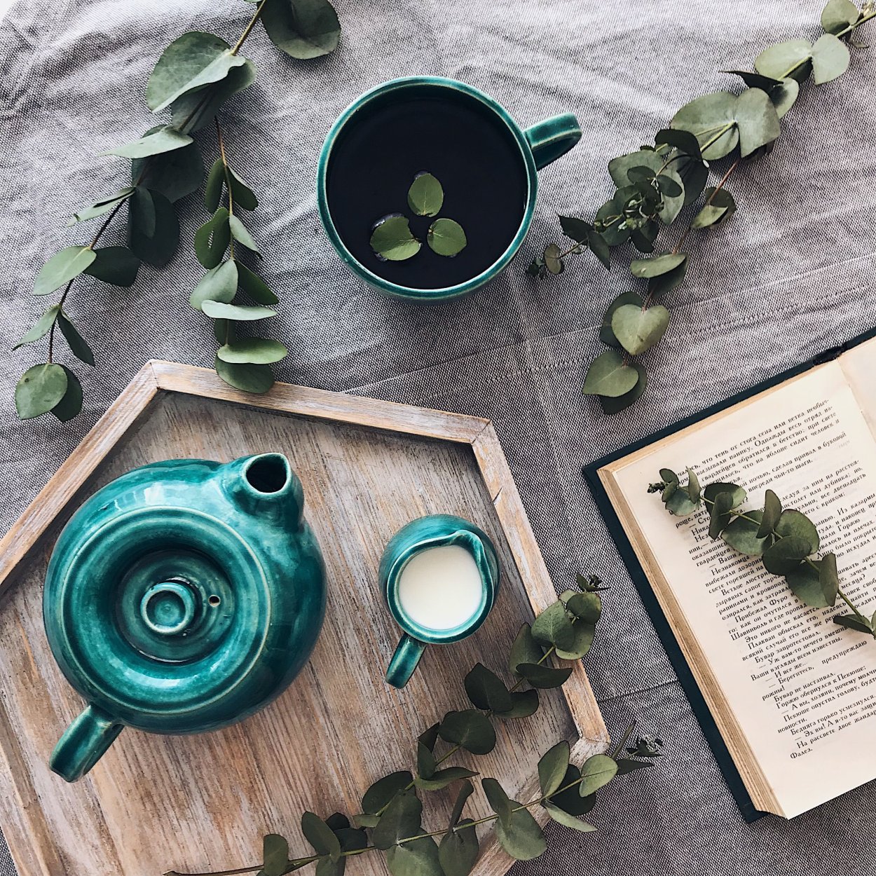 Филодендрон вариегатный