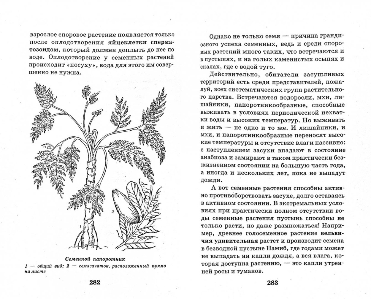 Способы распространения семян и плодов у растений