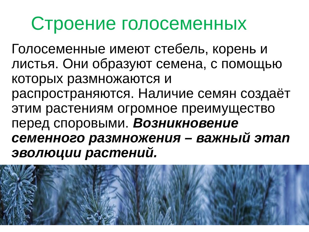 Ареал папоротника орляка