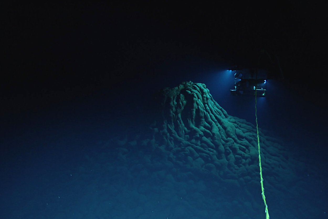 Рыба удильщик Марианская впадина