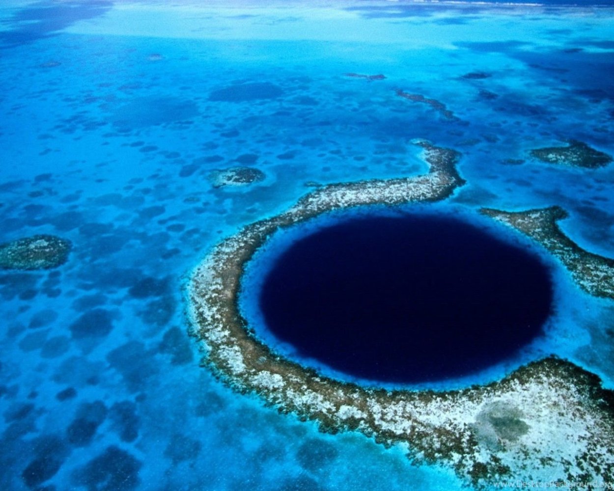 Европейский удильщик морской чёрт