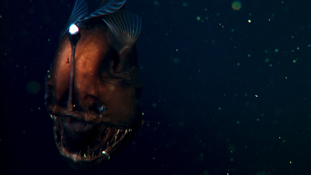 Лабынкырский черт