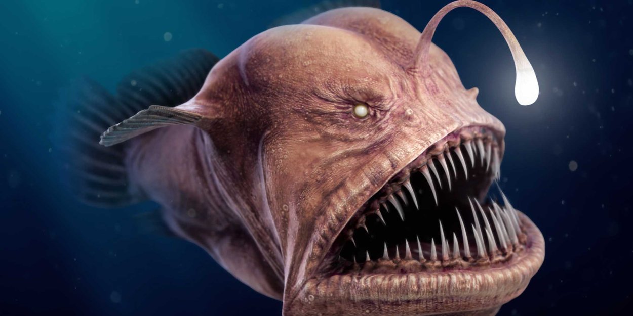 Подводный мир Марианской впадины