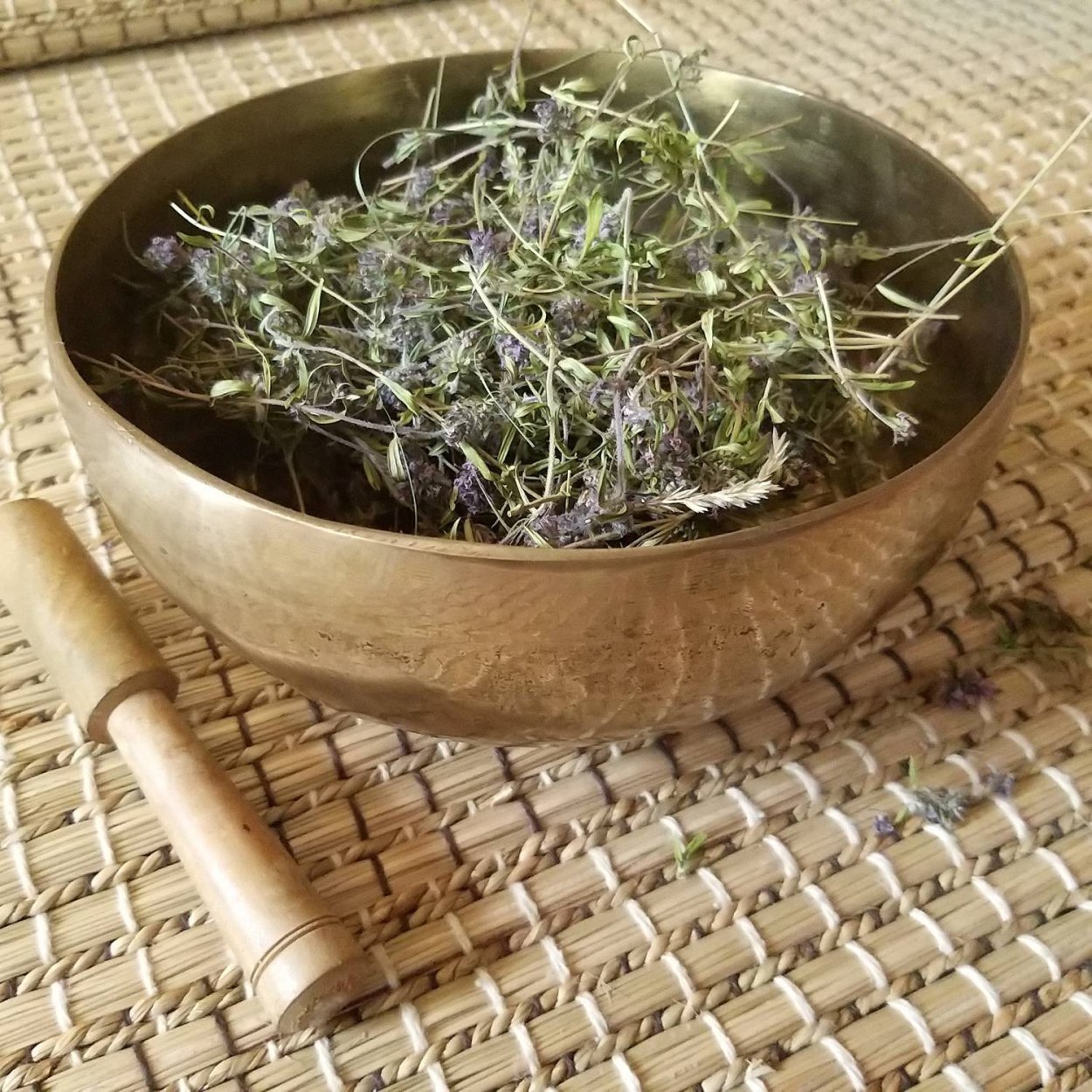 Чабрец тимьян ползучий описание