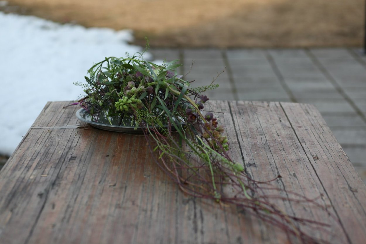 Тимьян ползучий Богородская трава