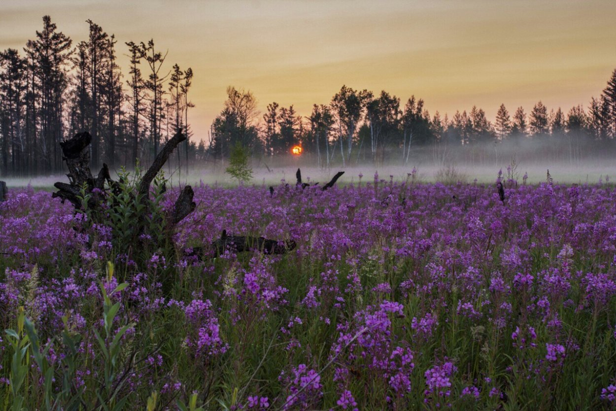 Якутская природа Алаас