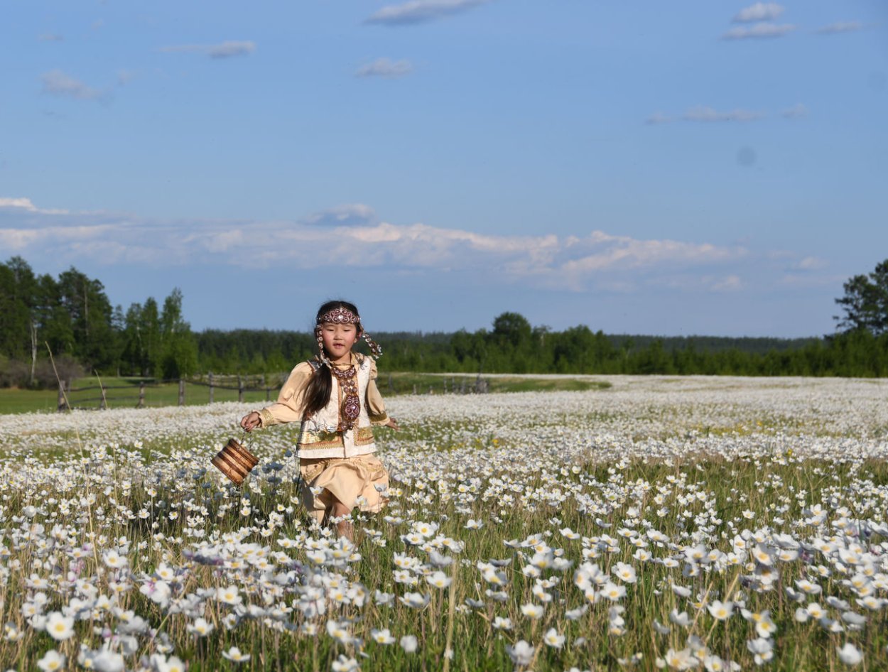 Цветущий луг Йеллоустоун