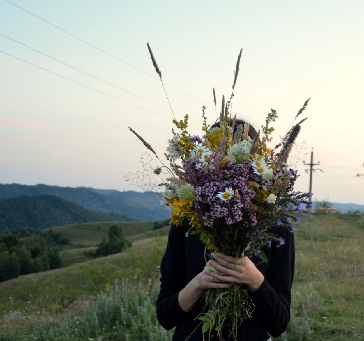 Фотопокрывало луговые цветы