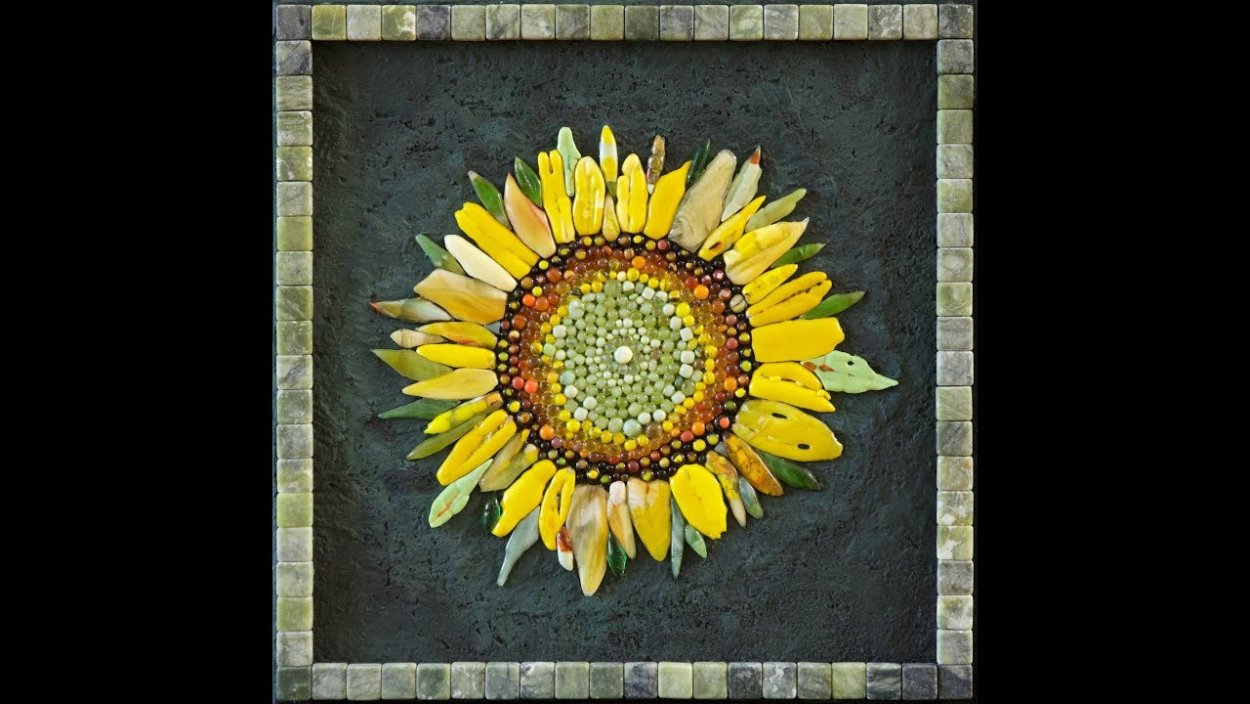 Подсолнух цветной