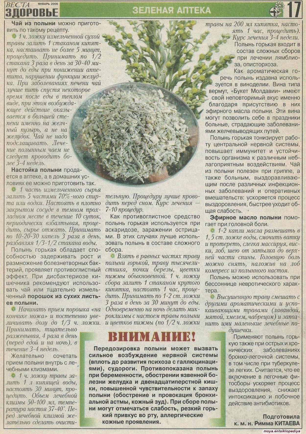 Полынь горькая настой от гельминтов