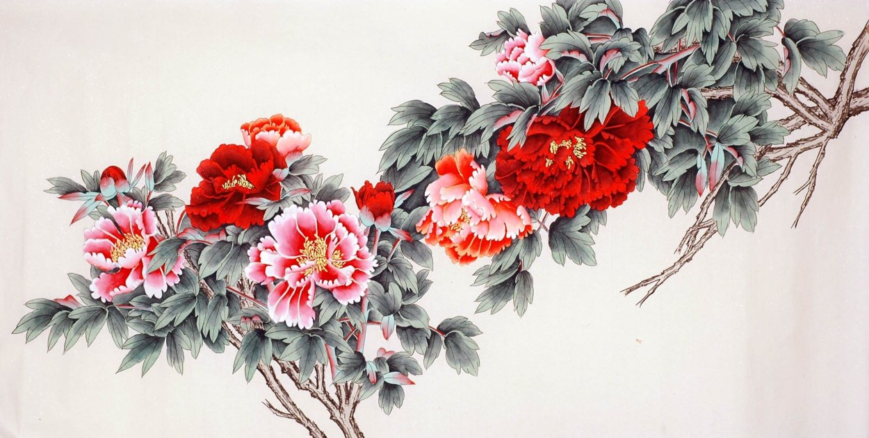 Красный пион Китай