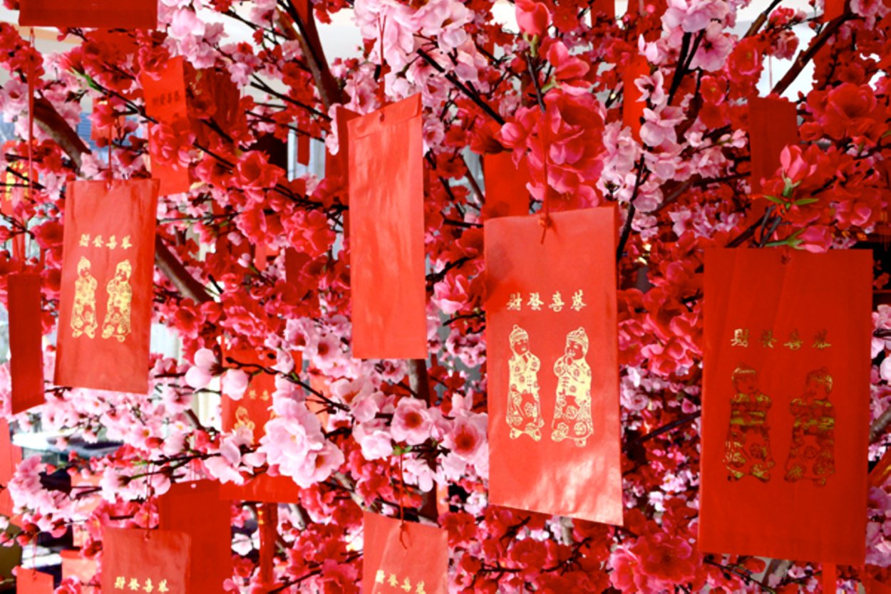 Китайский новый год цветы