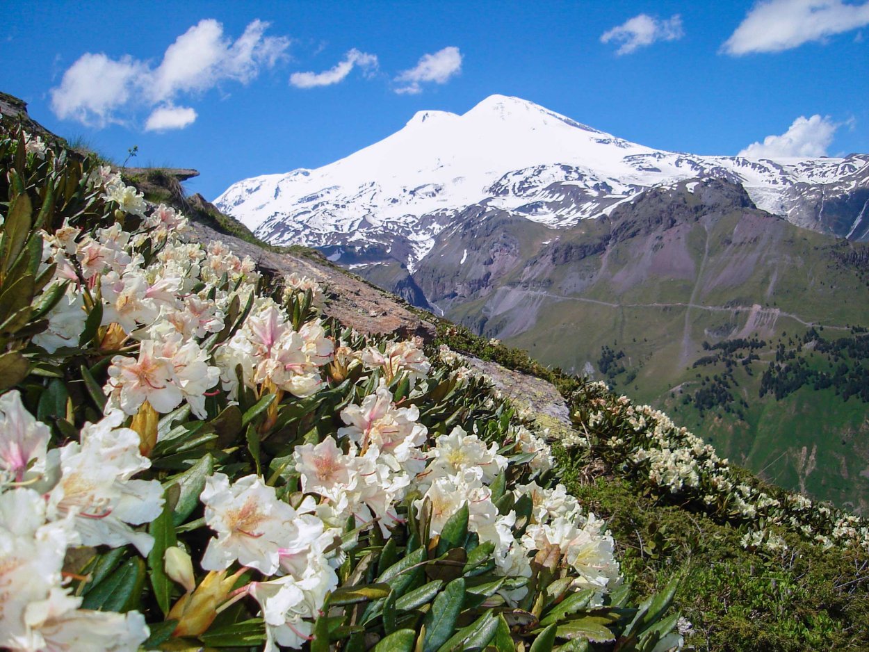 Национальный парк "Приэльбрусье" (Кабардино-Балкария)