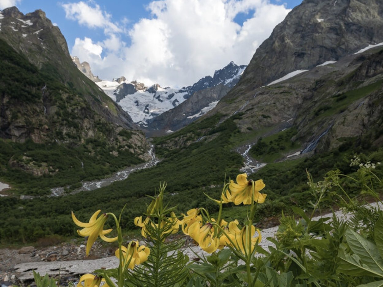 Альпийские Луга Теберда Теберда