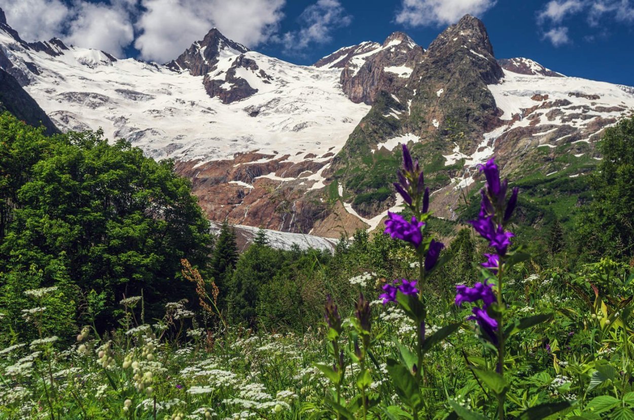 Домбай лето горы