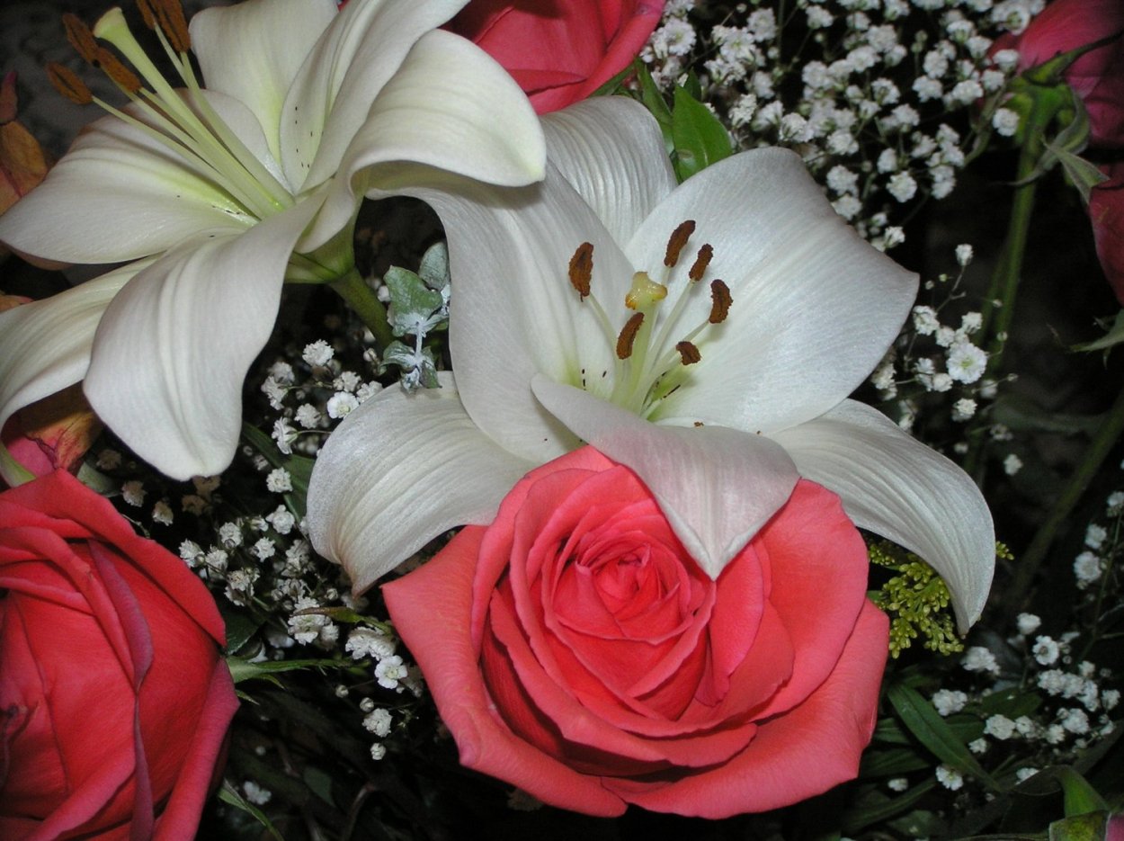 Розы и лилии