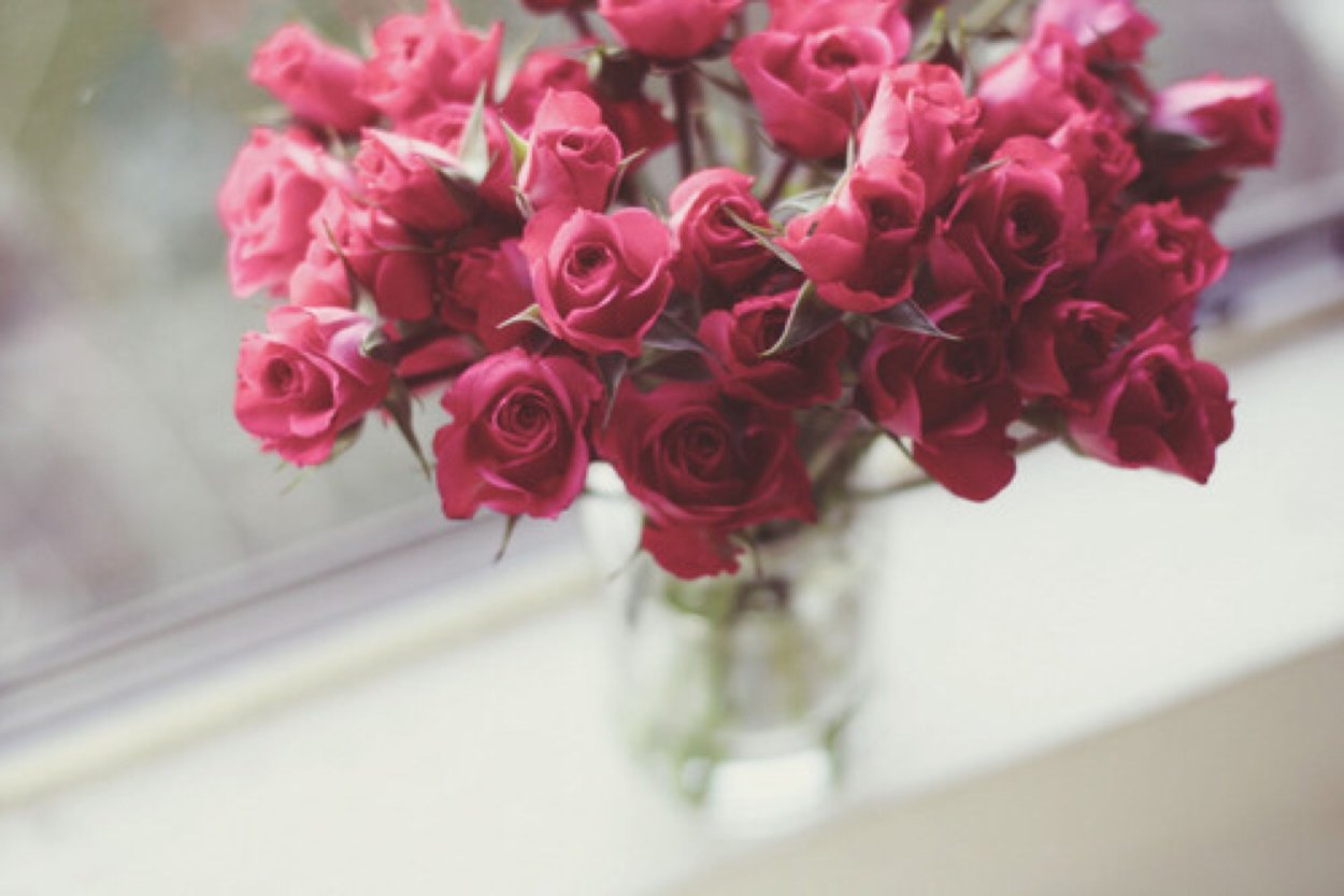 Розы на подоконнике