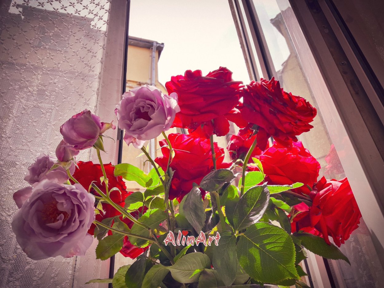 Букет роз на подоконнике