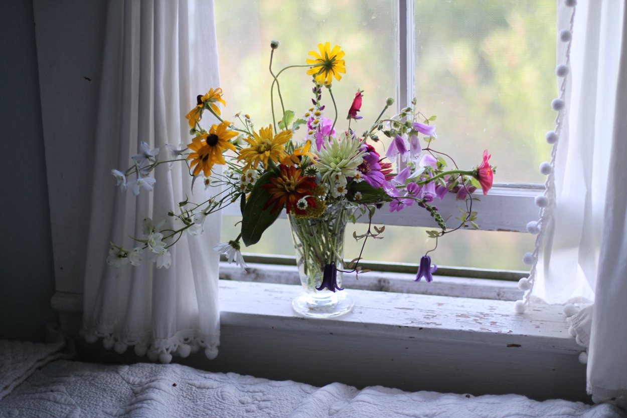 Цветы на окне