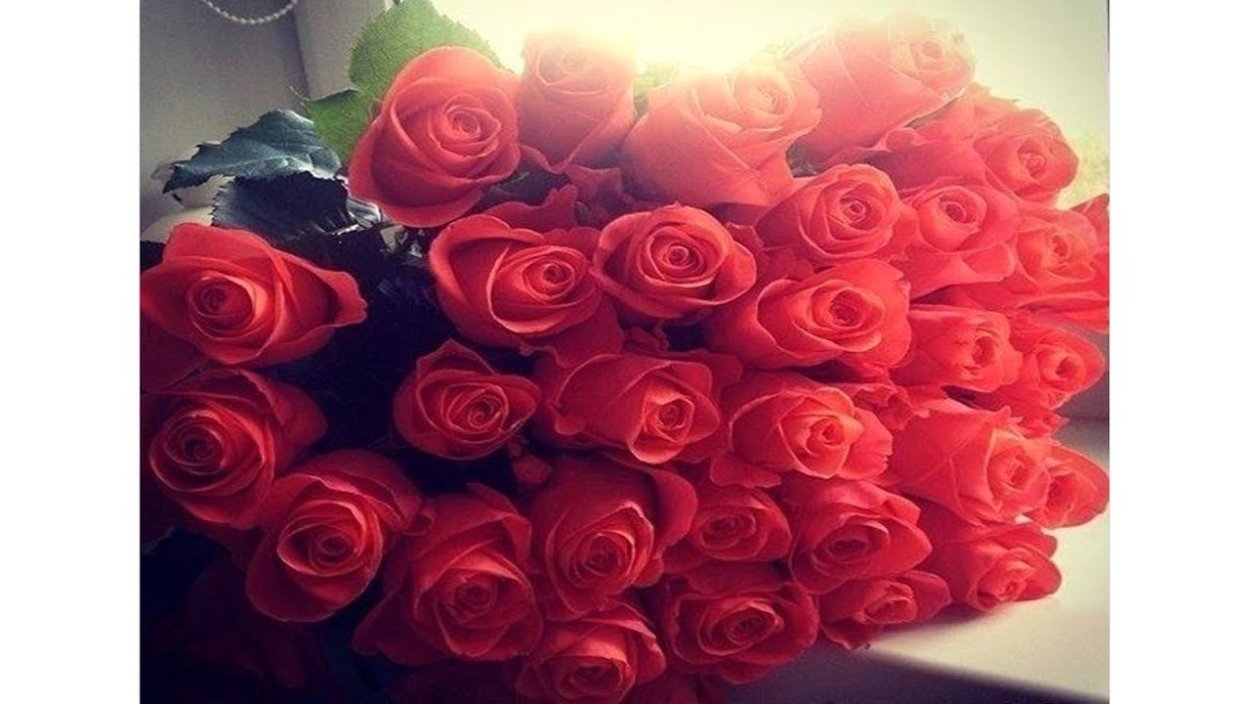 Красные розы на подоконнике