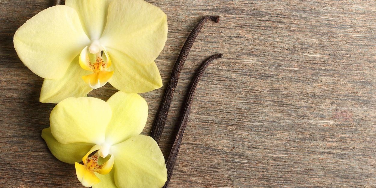 Цветонос у орхидеи